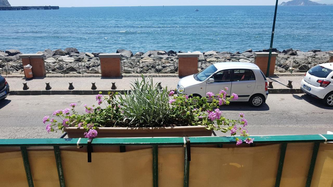 Taromy Napoli
