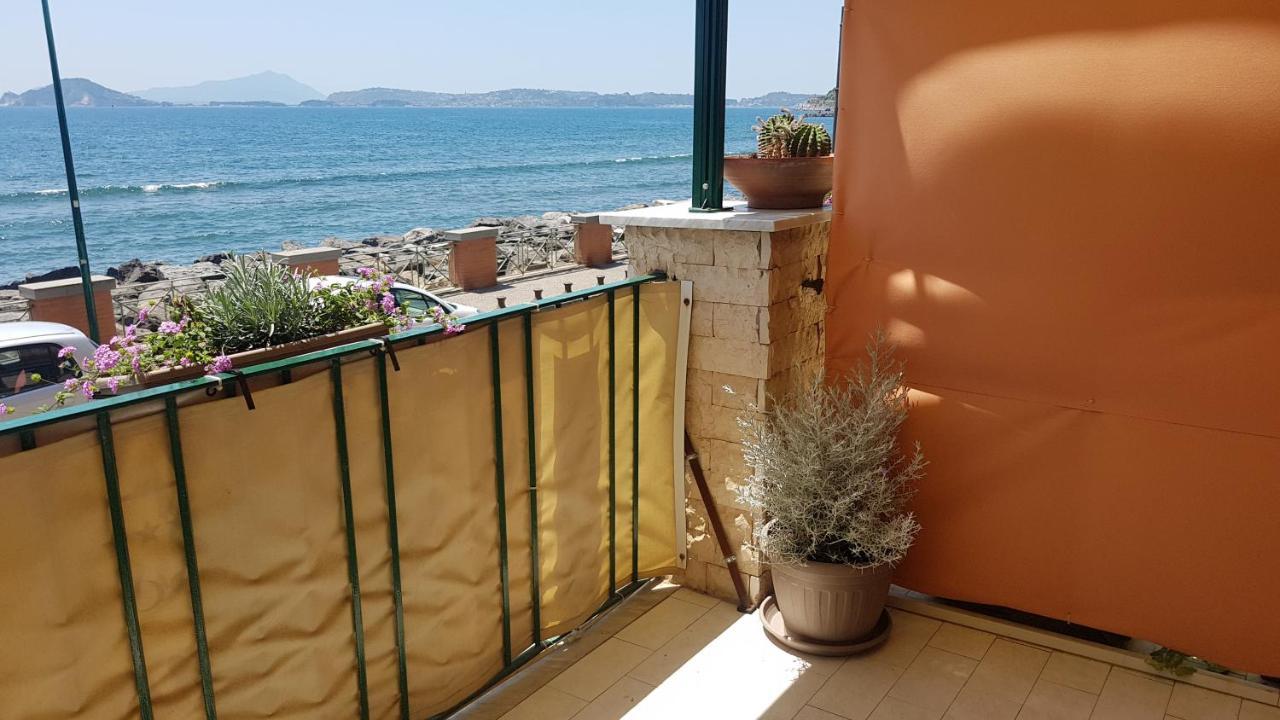Taromy Napoli